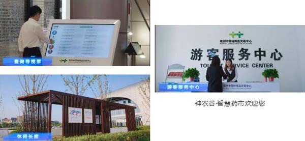 首页| suncitygroup太阳集团中国官方网站