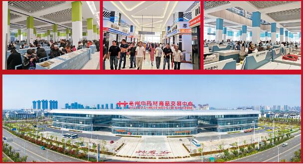 1596769530 首页| suncitygroup太阳集团中国官方网站