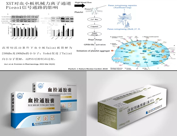 1632887739 首页| suncitygroup太阳集团中国官方网站