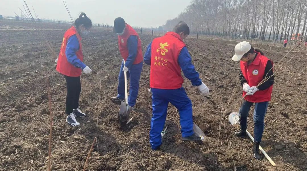 首页| suncitygroup太阳集团中国官方网站