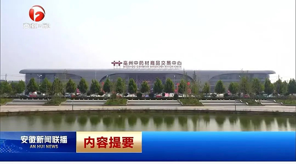首页| suncitygroup太阳集团中国官方网站