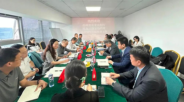 首页| suncitygroup太阳集团中国官方网站