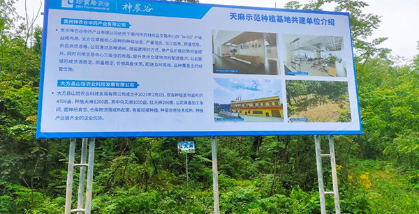 首页| suncitygroup太阳集团中国官方网站