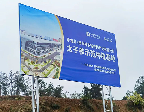 首页| suncitygroup太阳集团中国官方网站