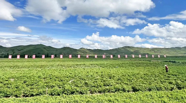 1756694495 首页| suncitygroup太阳集团中国官方网站