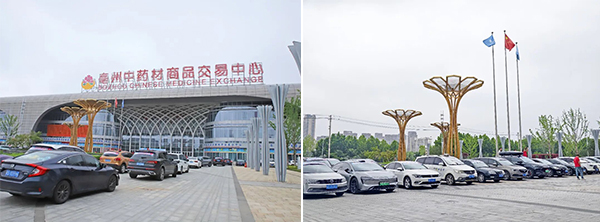 1781063724 首页| suncitygroup太阳集团中国官方网站